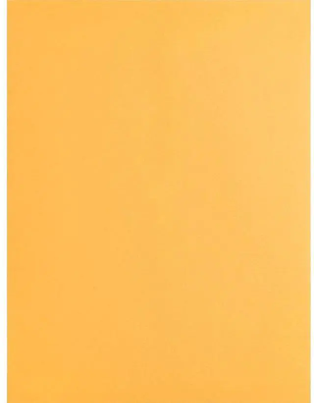 Main image of Business Source Catalog Envelopes Plain 9"x12" 250/BX Kraft 42100