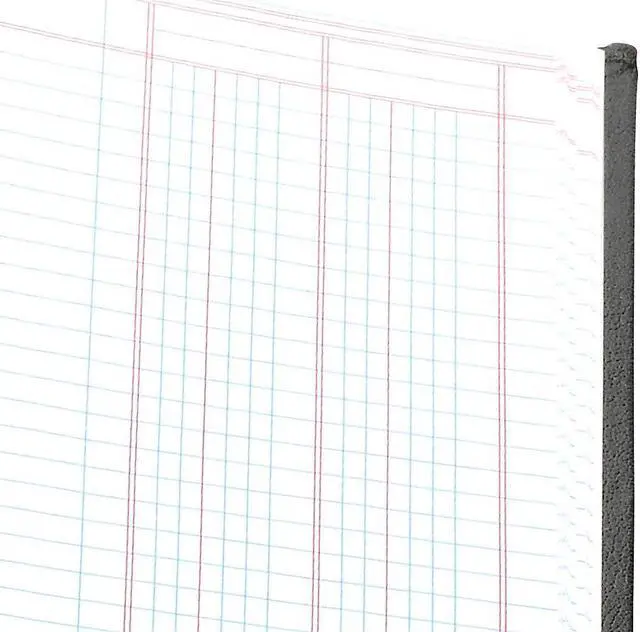 Alt view image 8 of 11 - Wilson Jones 2-Column Columnar Book 12 EA/CT