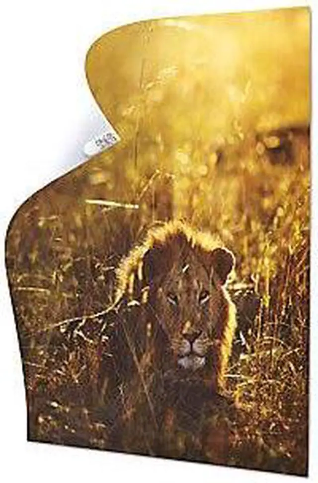 Alt view image 7 of 9 - Poster Strips White 12/Pack