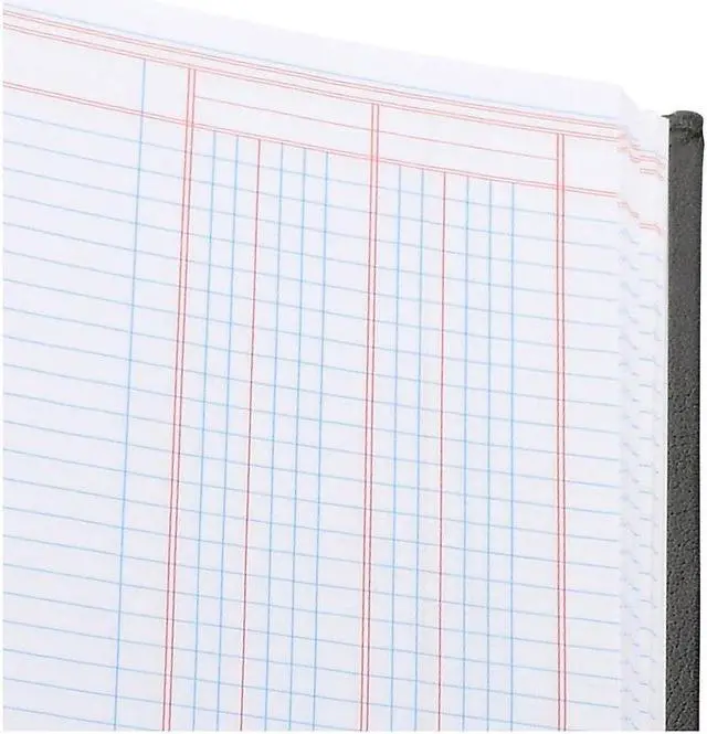 Alt view image 5 of 11 - Wilson Jones 2-Column Columnar Book 12 EA/CT