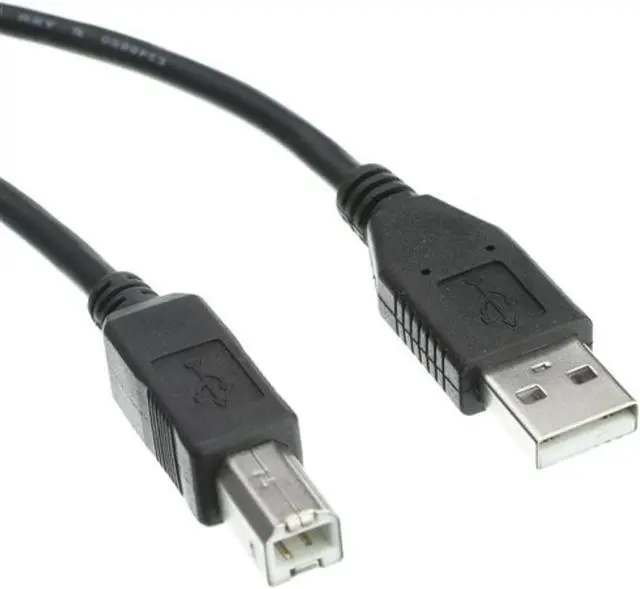 Alt view image 5 of 6 - Axiom USB 2.0 Type-A to Type-B Cable M/M 6ft