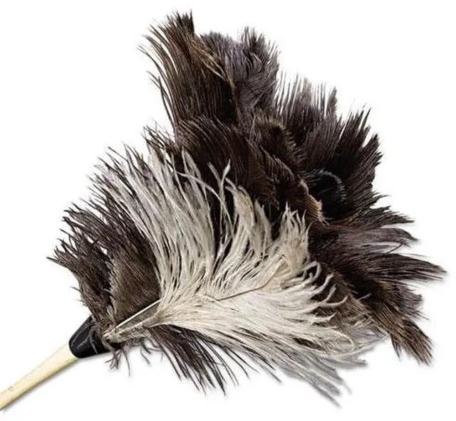 Alt view image 4 of 20 - Boardwalk Professional Ostrich Feather Duster 7" Handle 13FD