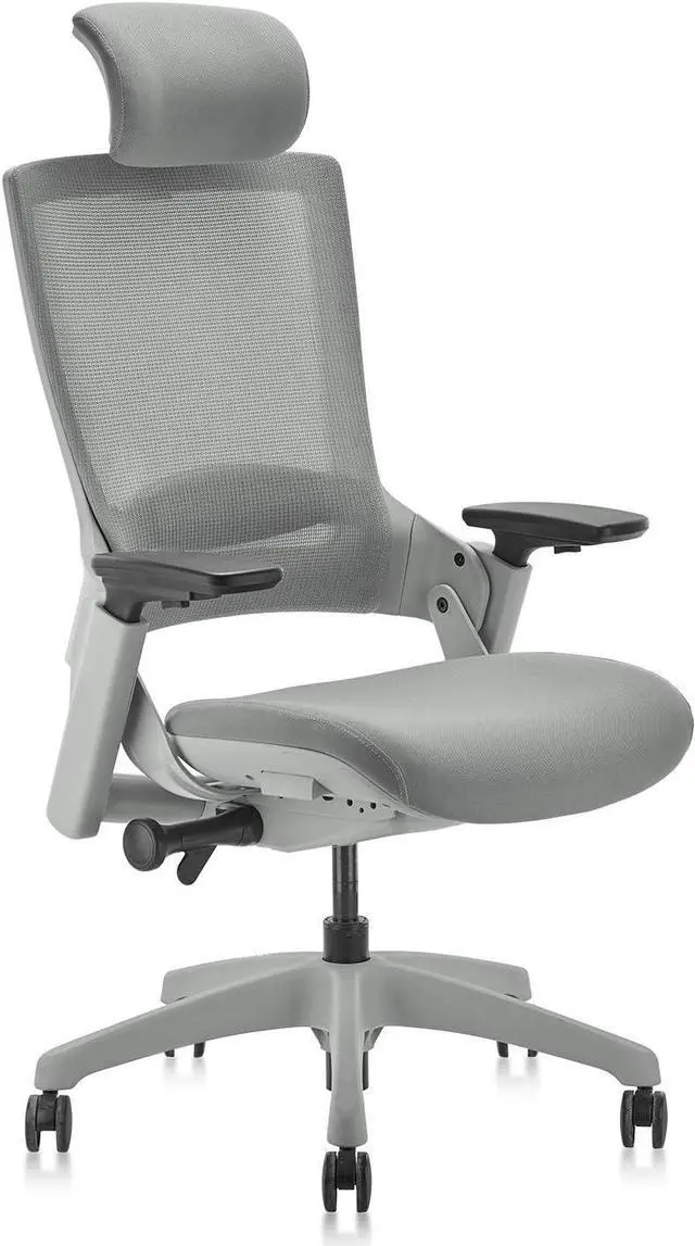 Mesh Clatina Ergonomic Chair CLATINA Ergonomic High Swivel