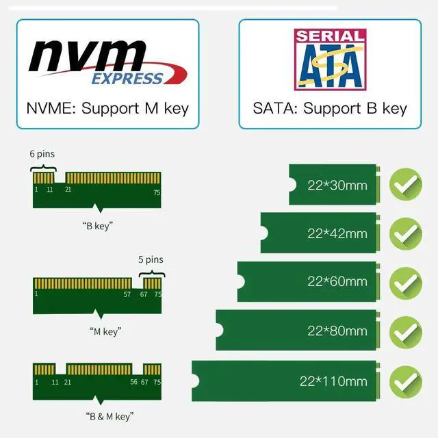 Alt view image 5 of 7 - Dual M.2 PCIe Adapter NGFF PCI-e 3.0 x 4 to SATA or PCIE NVMe SSD Expansion Card Support NVME (m Key) or SATA (b Key) 22110/2280/ 2260/2242 /2230 Host Controller Express Card