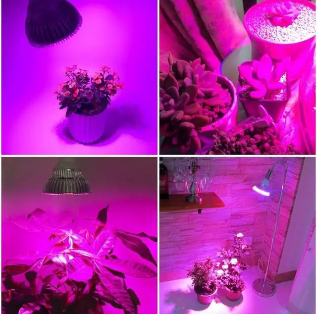 Alt view image 5 of 5 - 50W Led Grow Light Bulb Led Plant Bulb Full Spectrum Grow Lights for Indoor Plants Vegetables and Seedlings LED Plant Light Bulb for Hydroponics Indoor Garden Greenhouse and Organic Soil E26 78 LEDs
