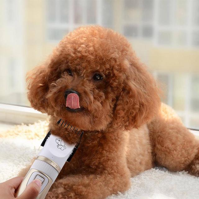 Alt view image 3 of 6 - Rechargeable Low-noise Pet Hair Clipper Remover Cutter Grooming Cat Dog Hair Trimmer Electrical Pets Hair Cut Machine