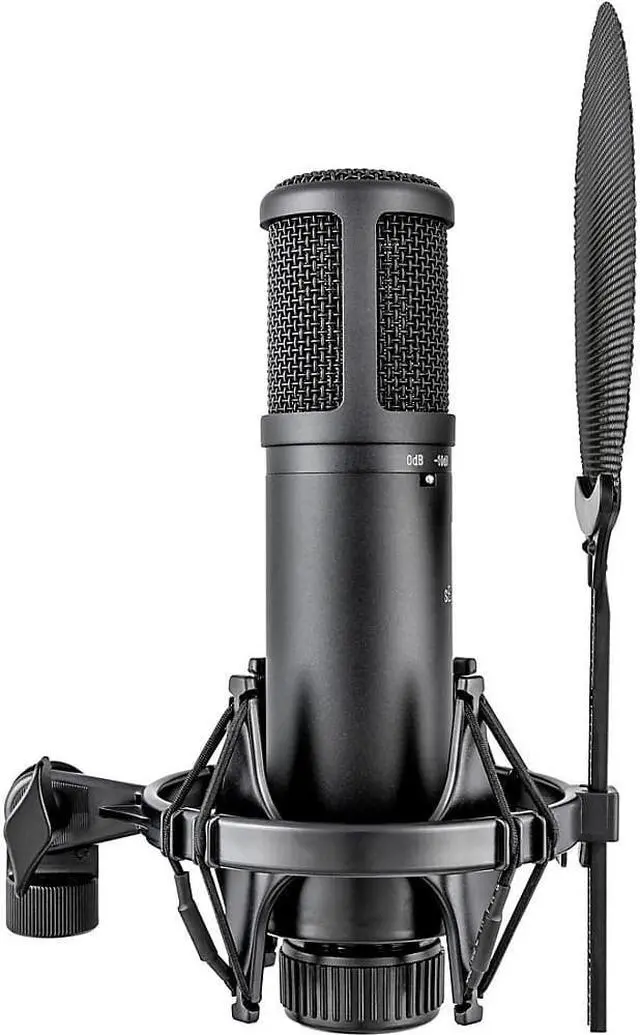 Alt view image 16 of 20 - sE Electronics sE2200 Large Diaphragm Condenser Microphone