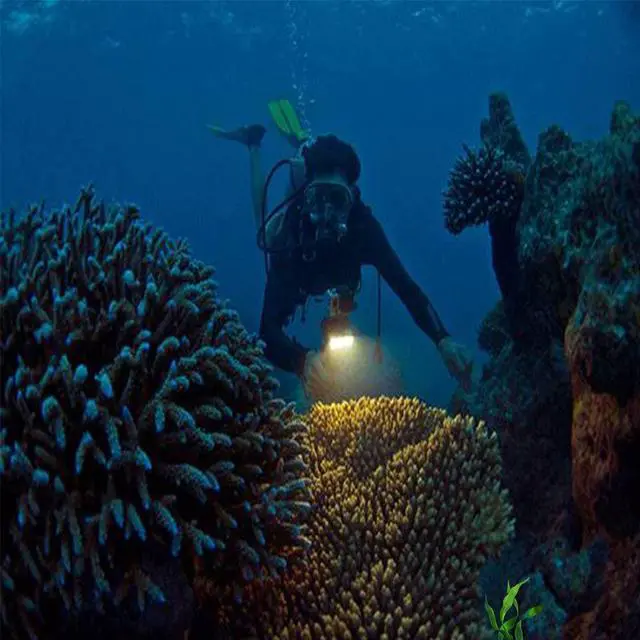 Alt view image 6 of 7 - Diving Light High Power Dimmable Waterproof LED Video Light Fill Night Light Diving Underwater Light Waterproof 147ft(45m) for Gopro Hero 8 7 6 5 5S 4 4S 3+ 2 SJCAM SJ4000 SJ5000 YI Action