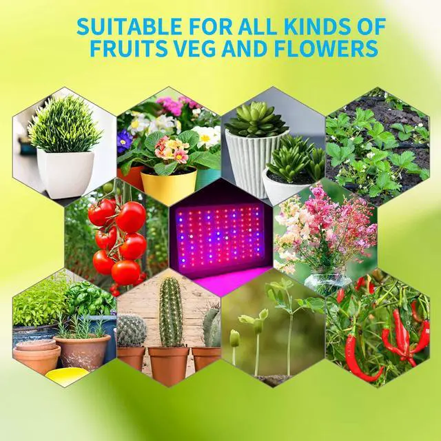 Alt view image 7 of 7 - Grow Light WERLEO 1000W UV IR LED Plant Lights Full Spectrum Double Chips Growing Lamps Bulbs for Indoor Plants Hydroponics Greenhouse Fruits Veg and Flowers White