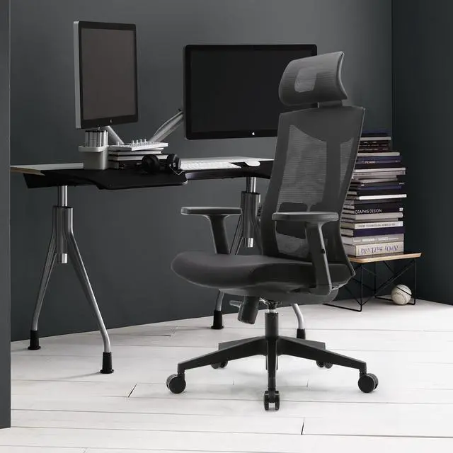 Alt view image 6 of 6 - SIHOO Home Office Chair with Ergonomic Design, Breathable Mesh Back and High Quality Sponge Cushion, for Home & Office, Black
