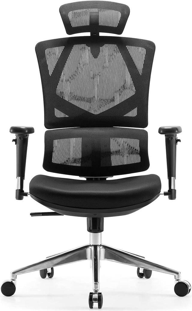 SIHOO Ergonomic Office Chair Mesh Desk Chair with Adjustable Lumbar Support  3D Armrests Breathable High Back Computer Chair (Black)