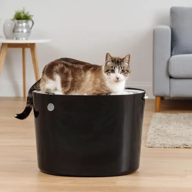 Alt view image 2 of 4 - IRIS Top Entry Cat Litter Box, Black/Light Gray