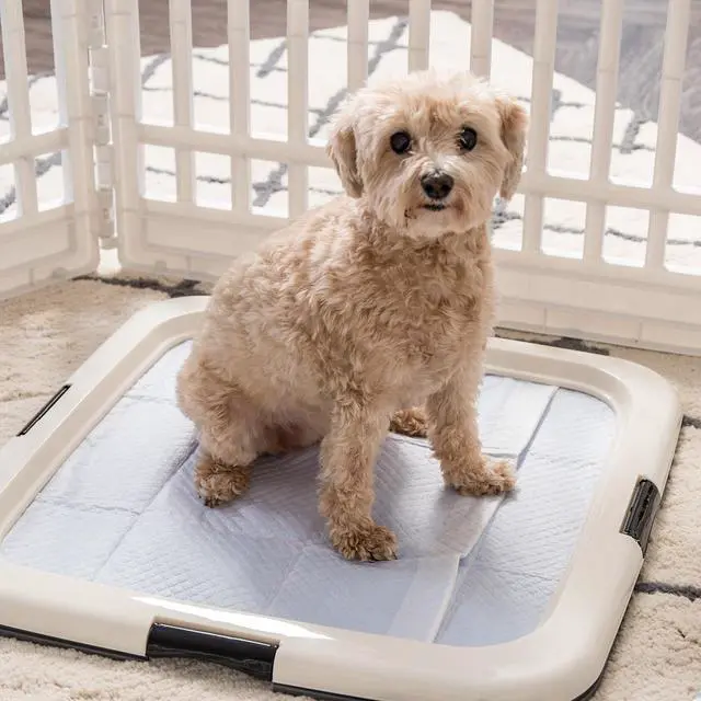 Alt view image 2 of 5 - IRIS Square Pet Training Pad Holder, Dark Gray