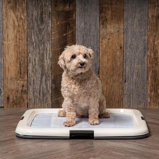 Alt view image 3 of 5 - IRIS Square Pet Training Pad Holder, Dark Gray