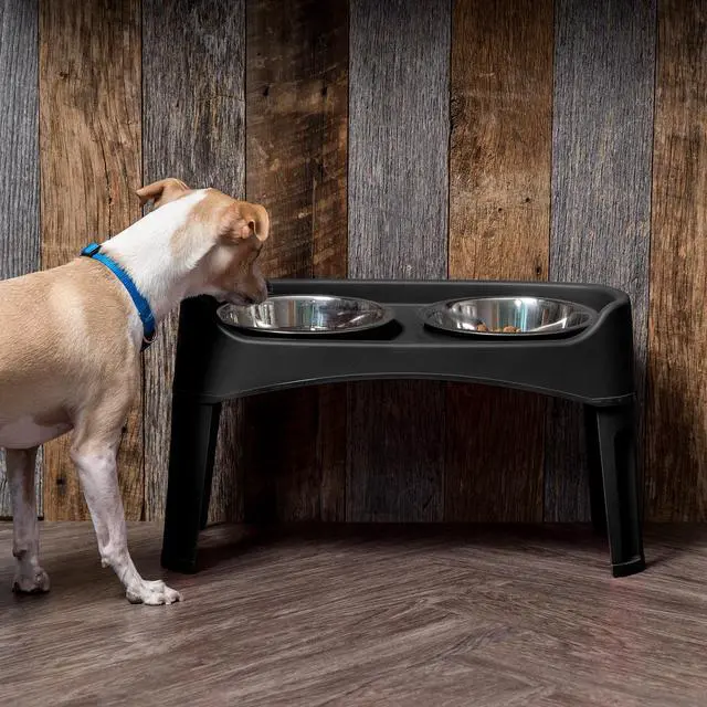 Alt view image 2 of 4 - IRIS Large Plastic Elevated Feeder, Black