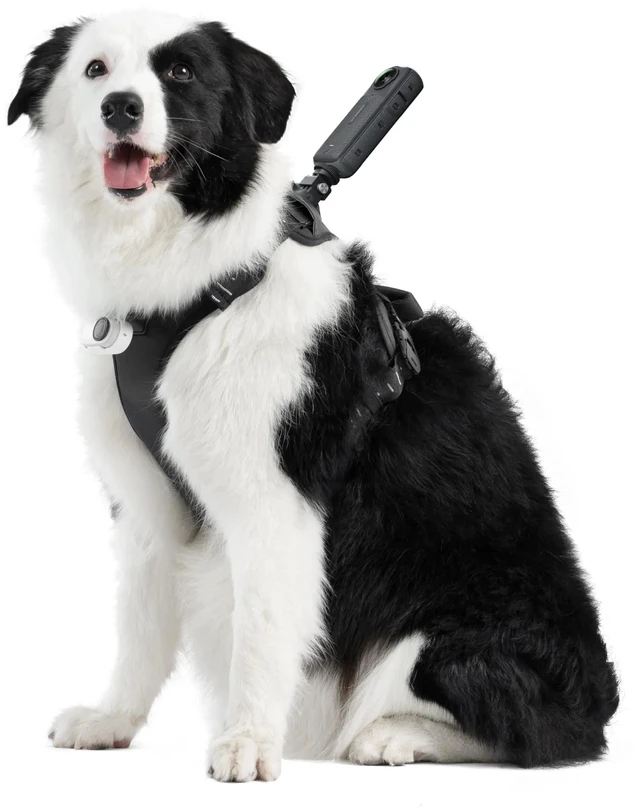 Main image of Insta360 Pet Harness Mount Size L for Action Cameras