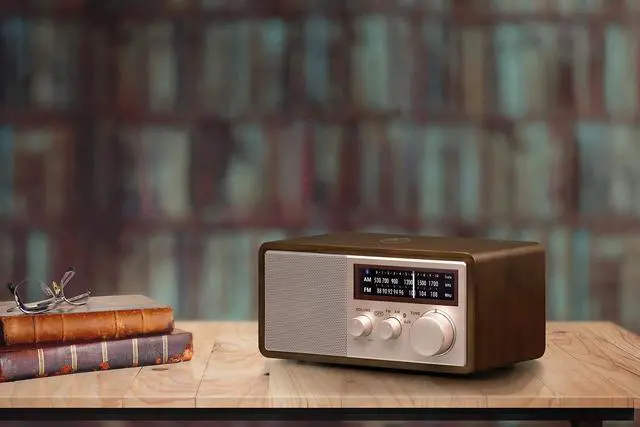Alt view image 6 of 13 - Sangean - WR-16SE - Sangean WR-16SE WR-16 45th Anniversary Special Edition AM/FM Wooden Cabinet Radio with Bluetooth
