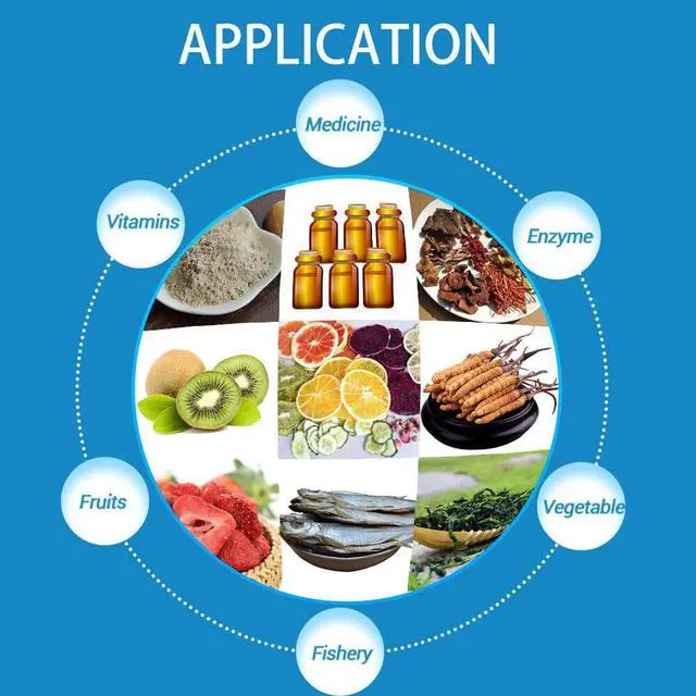 Alt view image 7 of 7 - Top Stopper Type Seafood Collagen Vacuum Freeze Dryer Machine Antibiotics Lyophilizer Bacterial Drying Machine Multifunctional Laboratory 110V/60Hz