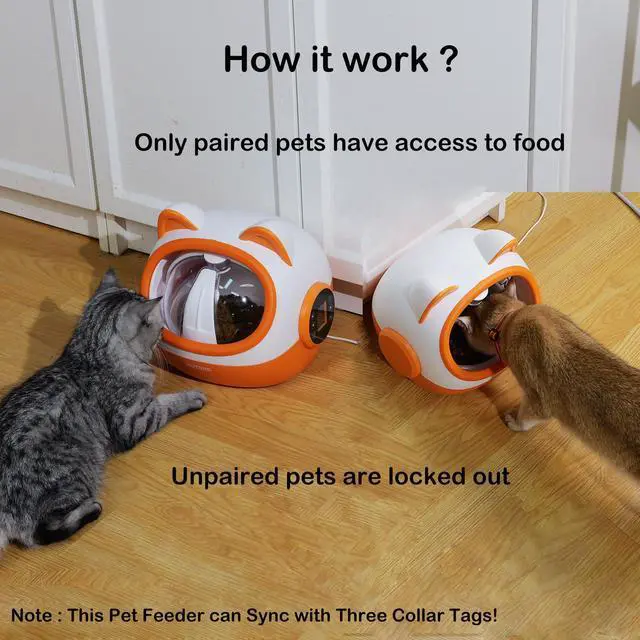 Alt view image 6 of 7 - AUTENS RFID Automatic Cat Feeders, Automatic Pet Feeder for Cats and Small Dogs, for Separate Dietary Needs, Prevent Food Stealling with Light Collar Tag