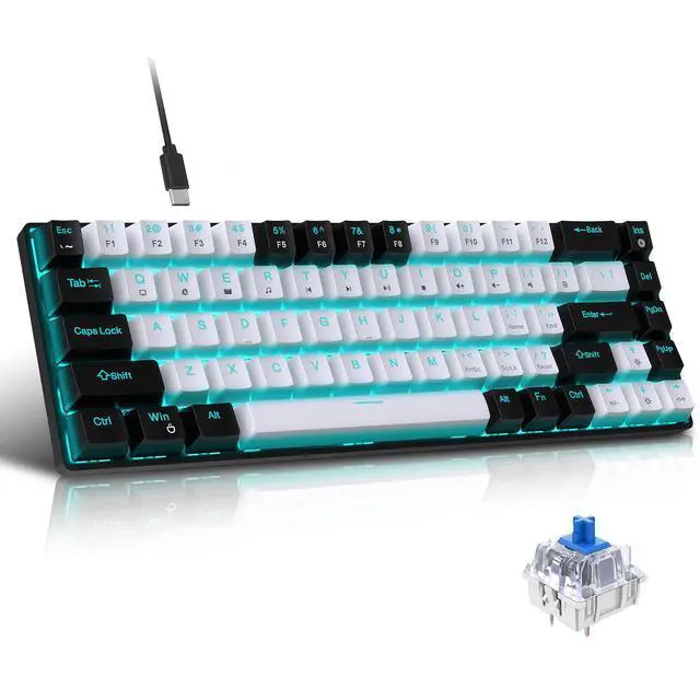 Main image of Intendvision Mechanical Gaming Keyboard, RGB Backlit Wired Keyboard, 68 Keys Computer Keyboard with Multiple Lighting Modes for Windows/Desktop/Laptops/PC, Blue Switch (Black White)