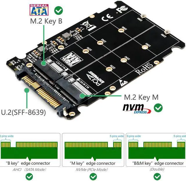 Main image of M.2 SSD to U.2 Adapter 2in1 M.2 NVMe and SATA Bus NGFF SSD to PCI e U.2 SFF 8639 Adapter PCIe M2 Converter for Desktop Computers