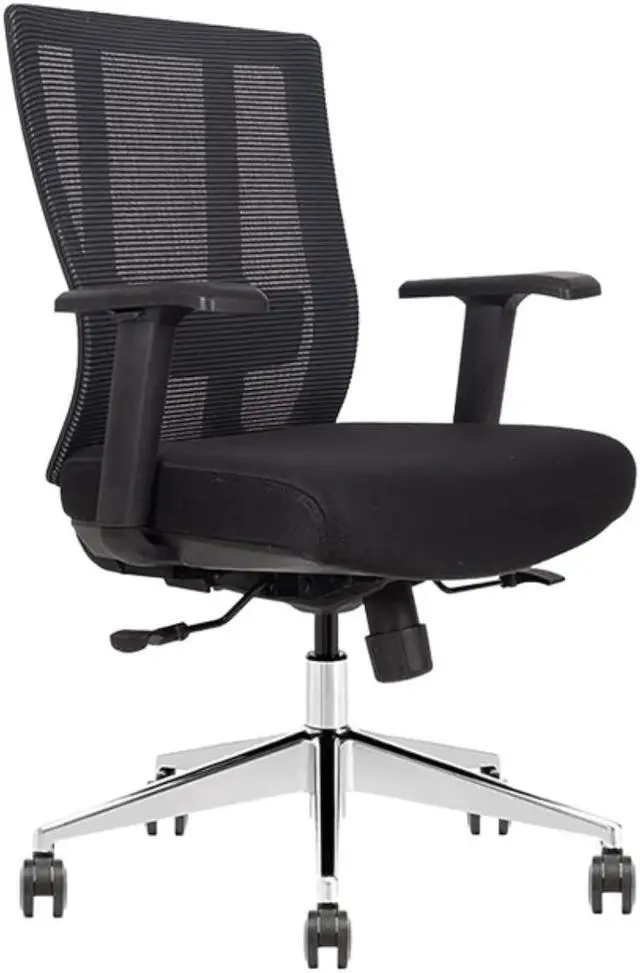 Main image of GM Seating Ergonomic Office Chair Mesh Back with Seat Slide - Adjustable Lumbar Support Computer Desk Chair with Height Adjustable Arms - 5-Star Polished Aluminum Base