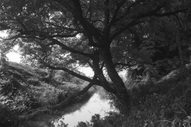 Alt view image 10 of 16 - Hoya 49mm R-72 Infrared Filter #B-49RM72-GB