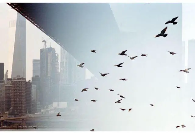 Alt view image 4 of 6 - Kodak Professional Portra 400 Color Negative Film (120 Roll Film, 5-Pack)