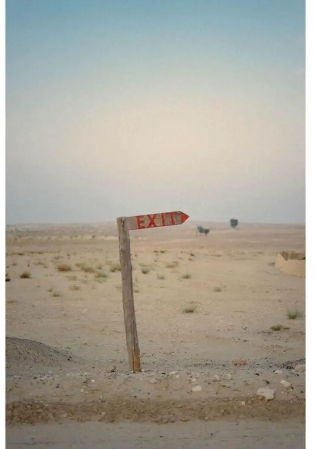 Alt view image 5 of 6 - Kodak Professional Portra 400 Color Negative Film (120 Roll Film, 5-Pack)