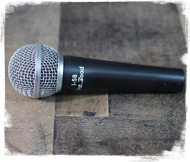 Handheld Microphones - stage mics for vocal performance