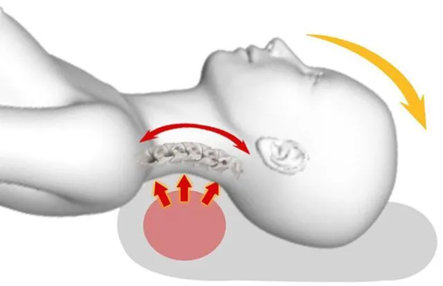 Alt view image 3 of 5 - US 2 Pack Contour Memory Foam Pillows for Neck Pain Relief with Washable Cover