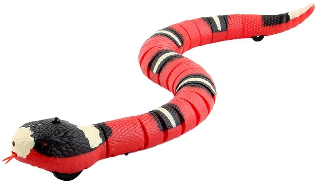Main image of US 1 Pack USB Charging Smart Sensing Snake Electron Interactive Cat Dog Toys