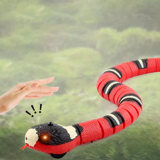 Alt view image 3 of 3 - US 1 Pack USB Charging Smart Sensing Snake Electron Interactive Cat Dog Toys