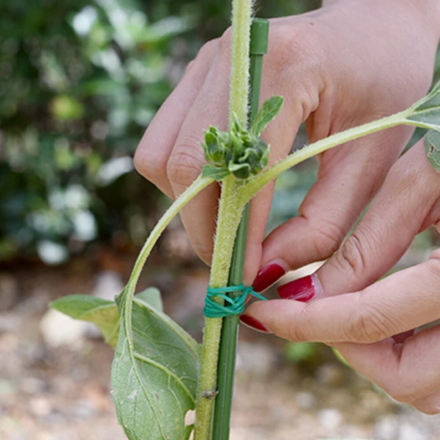 Alt view image 2 of 5 - US 328FT 100M Kitchen Bag Gardening Plant Green Twist Tie Wire Roll With Cutter