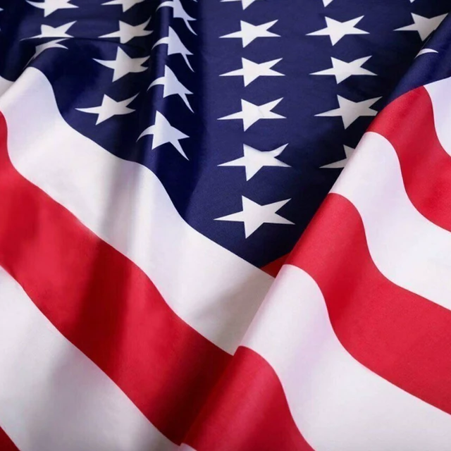 Alt view image 3 of 4 - Flag