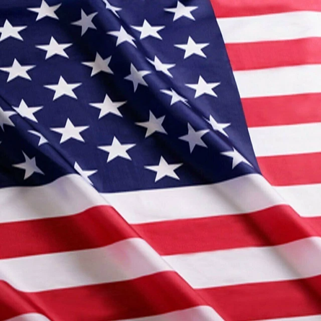 Alt view image 2 of 4 - Flag