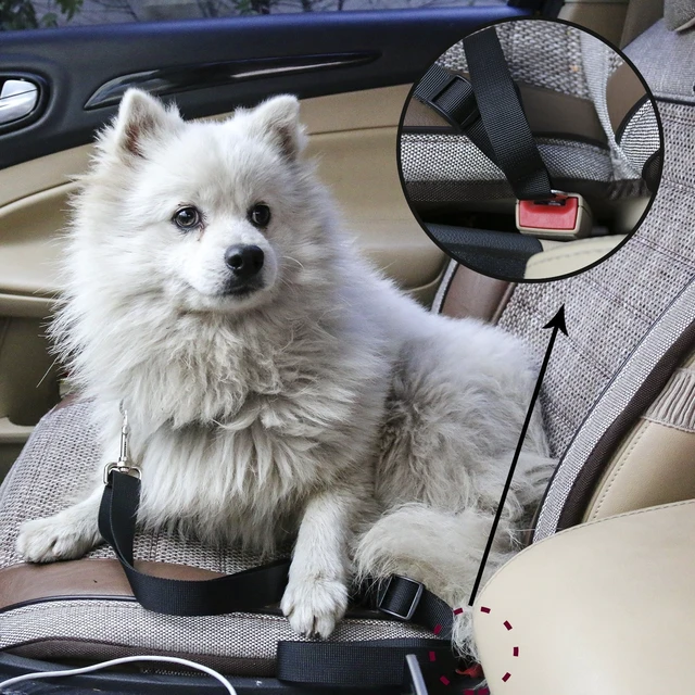 Alt view image 3 of 4 - 3 PCS Adjustable Pet Dog Cat Car Seat Belt Safety Leads Vehicle Seatbelt Harness fenhongse