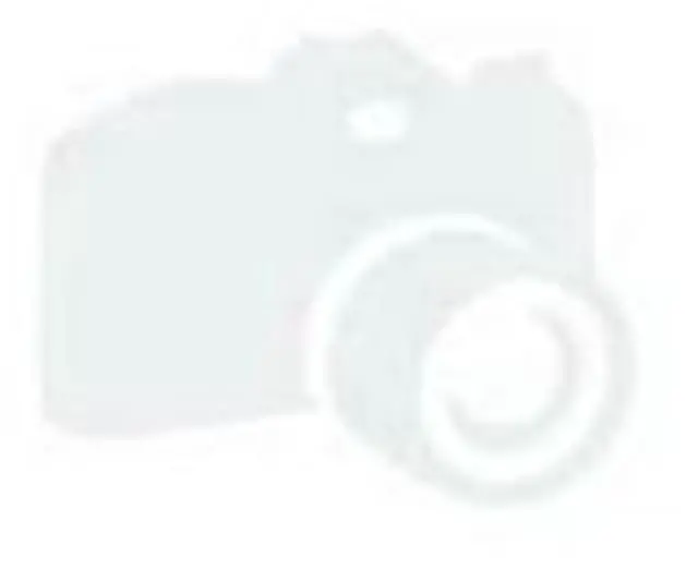Alt view image 11 of 16 - 3 Cat6 Patch Green FD Only