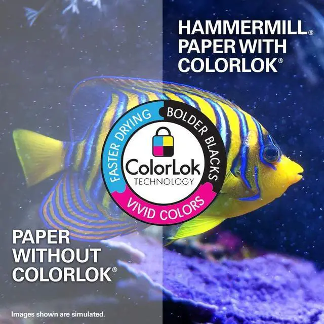 Alt view image 6 of 7 - Hammermill Premium Copy & Multipurpose Paper Letter - 8.50" x 11" - 24 lb - 97 Brightness - 2500 / Carton - White