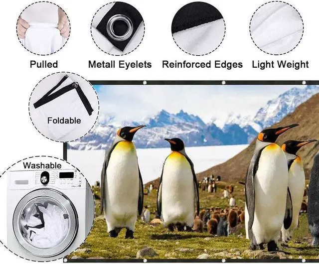 Alt view image 4 of 7 - 16:9 Portable Projector Screen 100" Projection Screen for Home Outdoor Office 221x125 cm with Hooks