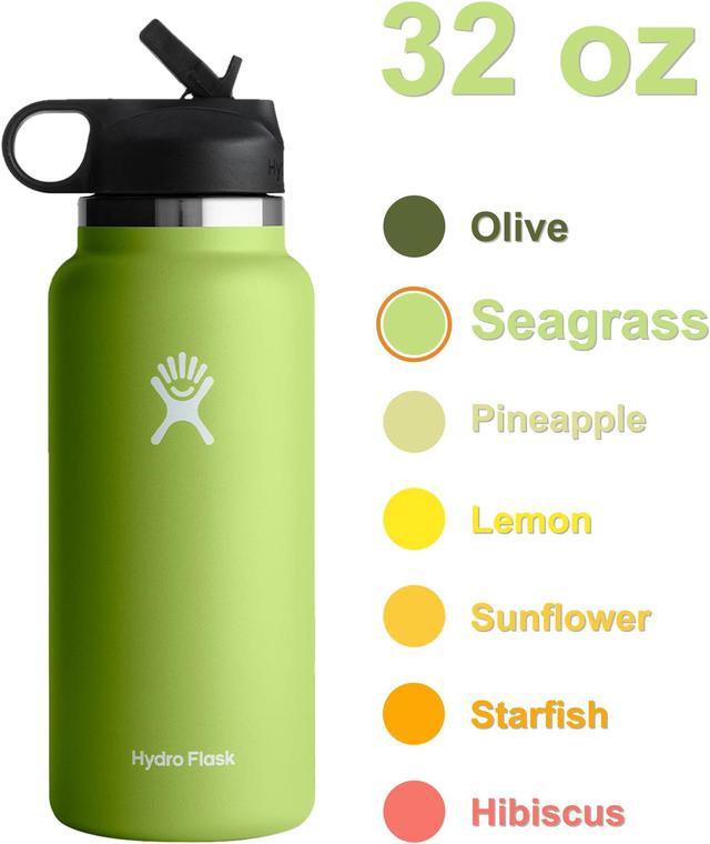 Hydro Flask 2.0 Wide Mouth 32 oz Water Bottle with Straw Lid
