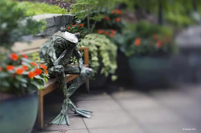 Alt view image 15 of 16 - Lensbaby Composer Pro II with Edge 50 Optic for Nikon F Mount #LBCP2E50N