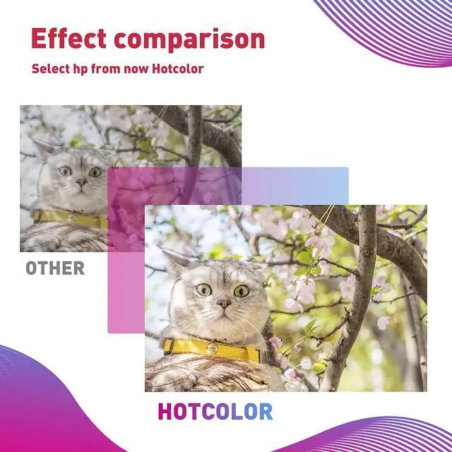 Alt view image 7 of 7 - HOTCOLOR 12 Pack + 1 Black Ink Cartridges  02 HP 02XL Photosmart 3310 C6180 C5280 C6280 Printer