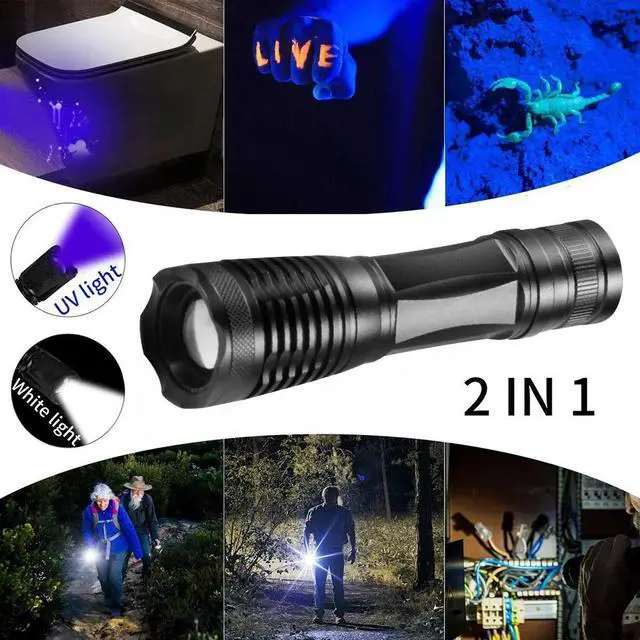 Alt view image 2 of 5 - 2 in 1 UV Flashlight LED Linternas Torch 395nm Ultraviolet Urine Detector Light for camping Carpet Pet Urine Catch Scorpions