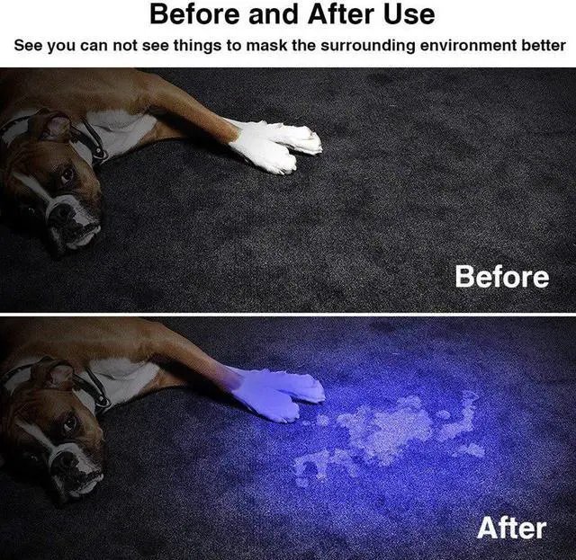 Alt view image 5 of 5 - UV Light Torch Flashlight Ultraviolet led flashlights Ultra Violet Invisible Ink Marker Detection ZOOM linterna Led Torch
