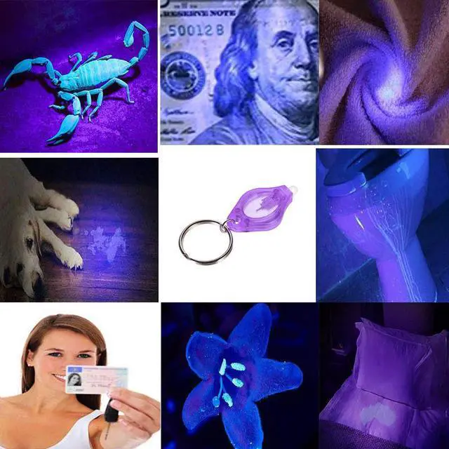 Alt view image 5 of 5 - 395nm Purple UV LED Mini Keychain light LED Flashlight Torch Black light Lamp Id Currency Passports Cat Dog pet urine Detector