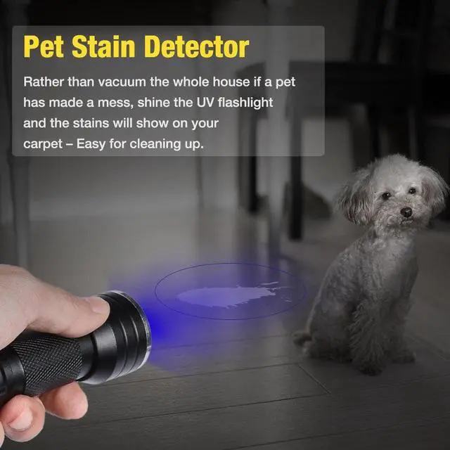 Alt view image 2 of 5 - Portable UV Flashlight Black light UV Lights 21 395nm torch LED Ultraviolet linterna Pet Urine Detector For Dog/Cat Urine