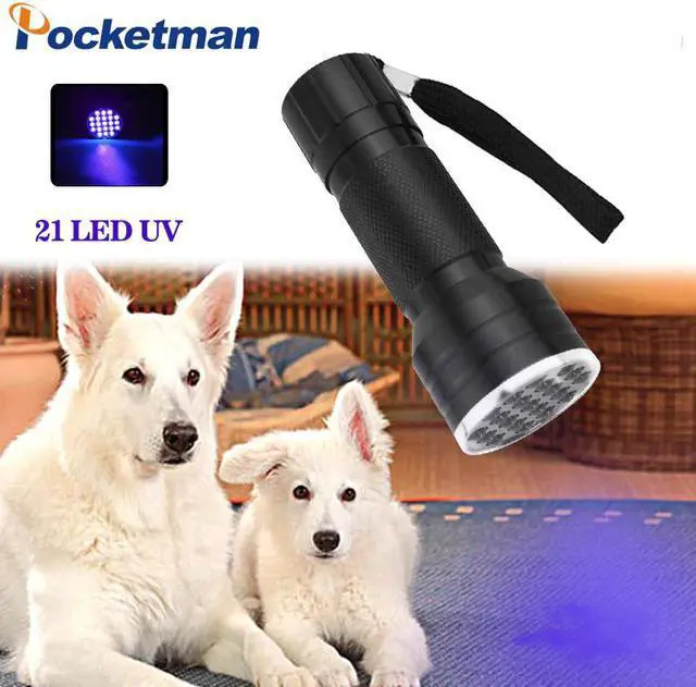 Main image of UV Flashlights bright torch Ultraviolet Black Light UV Flashlight 12  21 UV Light pratical inspection light