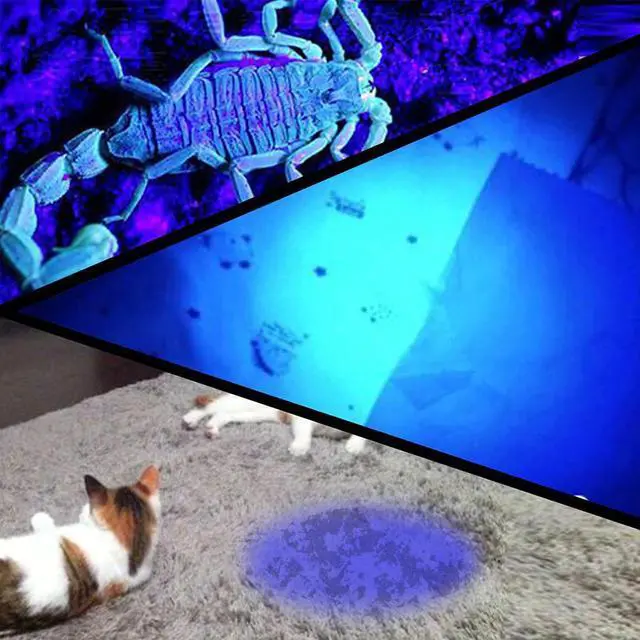 Alt view image 5 of 5 - 12 LEDs 395nm UV Handheld Flashlight Black Light Ultraviolet Urine Detector Torch linterna For Dog/Cat/Pet Urine & Dry Stains