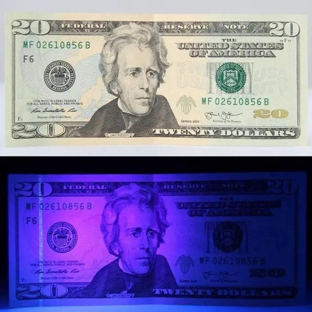 Alt view image 4 of 5 - Black Light UV Flashlight 12 LEDs 395nm Ultraviolet Urine Detector Torch linterna For Dog/Cat/Pet Urine & Dry Stains